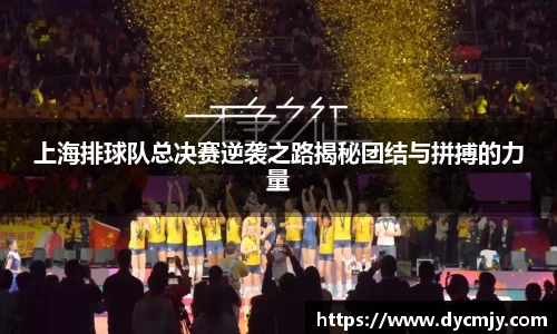 上海排球队总决赛逆袭之路揭秘团结与拼搏的力量