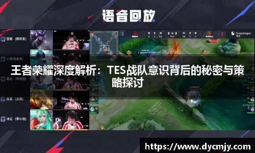 王者荣耀深度解析：TES战队意识背后的秘密与策略探讨